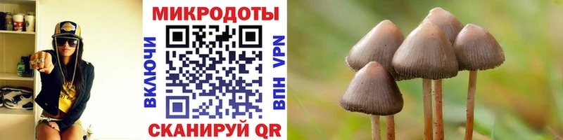 Псилоцибиновые грибы мицелий  Жигулёвск 